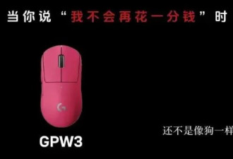 罗技商店惊现“狗爪”!骂玩家是狗?