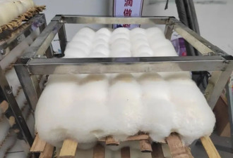 腐乳，下饭神器还是致癌毒物？