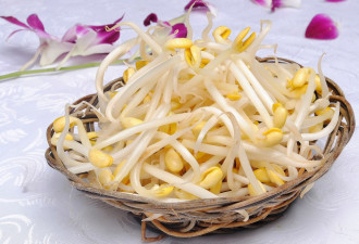 豆芽立大功！显著改善胰岛功能、降低血脂