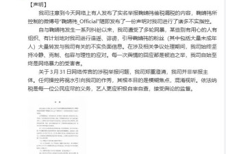 丝芭否认举报鞠婧祎偷税漏税：祸水东引的目的是为了混淆视听