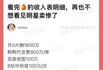 知名女星收入明细被曝光,网友感叹,还不是超一线