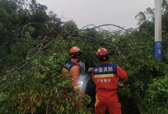 广东新一轮强对流天气 1小时下完一天雨量