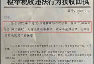 鞠婧祎被实名举报偷税漏税，意外曝光明星赚快钱的大秘密