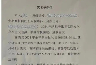 鞠婧祎因祸得福 被举报偷税官方还其清白 丝芭否认甩出灵魂三问