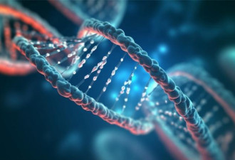 97%成功率：科学家用基因剪刀精准清除艾滋病毒