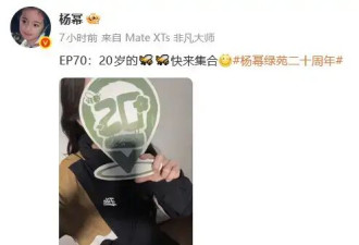 杨幂亲手制作拼豆礼物 庆祝粉丝团“绿苑”成立二十周年