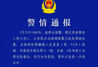 武汉男子在市场持刀随机伤人 7秒捅四个