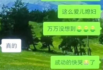加微信几个月就喊“公公”，给儿子找的“儿媳”竟是大汉