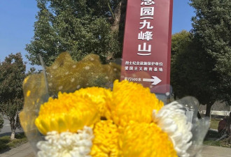 "愿另一个世界没有996，没有内卷，没有狼文化"