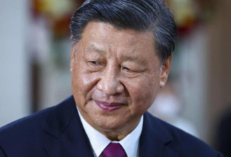 习近平长臂被斩 李锐日记案败诉 中共法律战崩溃