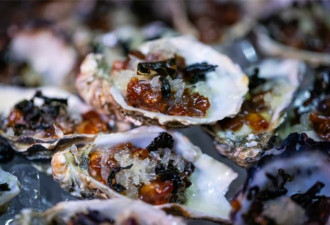 奈斯纳生蚝节Knysna Oyster Festival