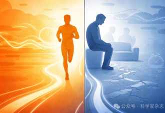 斯坦福科学家:中年行为或已悄然决定你的寿命长短