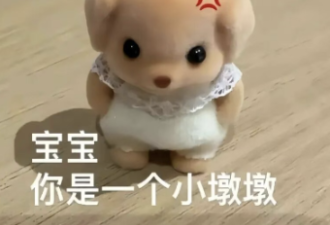 留子文学，当代留子的大型自我感动现场