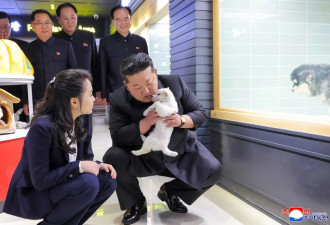 金正恩与女儿视察宠物商店，现场撸猫逗狗