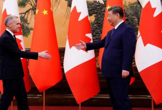 "关税战"一周年： 全球经济如何在四个方面被改变