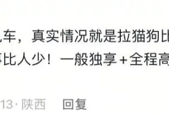 花5000块给猫买头等舱 年轻人富养猫狗穷养老己