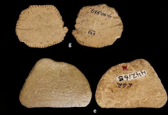 人类1.2万年前就开赌 “这道具”惊呆考古学家