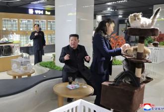 金主爱现身 这次改“逗猫”