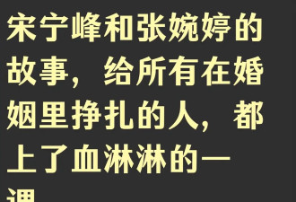 宋宁峰出轨了，张婉婷为啥得不到大众同情