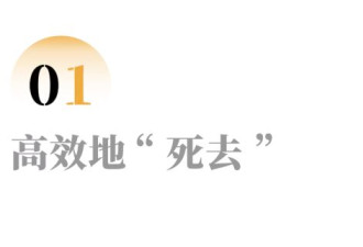 溜进墓园里，爬上火化机，我想让人们慢点说再见