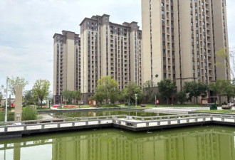金昊被执行死刑，河北孟村案“完美妻子”之死