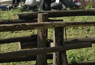 重庆一飞行器坠落，众人拆除栅栏参与救援