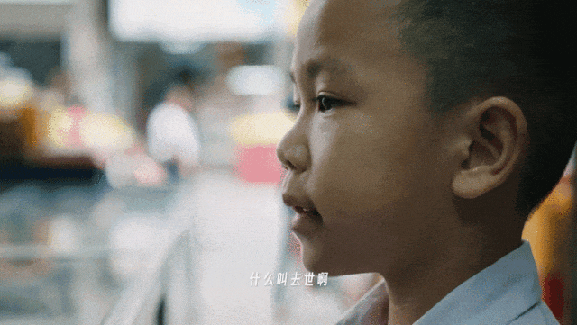 4000万人围观，一位AI奶奶的去世