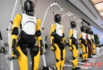 中国机器人公司日薪50万招人