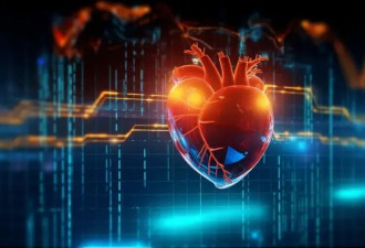 人脑“复苏术”将近？生死边界或被重写