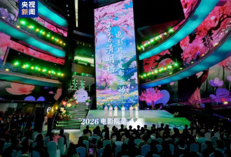 中国清明档电影集中上映，官方强化叙事推介结构