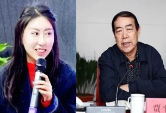 贾平凹之女涉嫌大面积抄袭