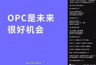 不想再当螺丝钉的打工人,开始琢磨一个人开公司了