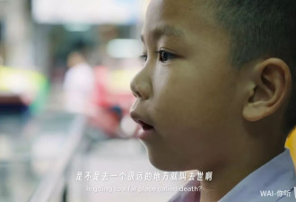 深圳年轻人创作AI短片《纸手机》爆红 网民：眼湿湿