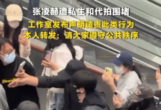 张凌赫回应高铁站遭私生代拍围堵：请遵守公共秩序