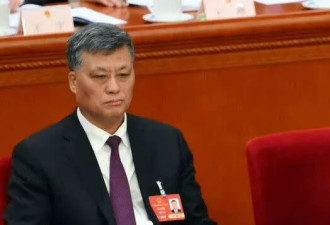 马兴瑞落马引爆猜测：有彭丽媛当后台仍难自保？