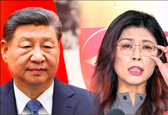 郑丽文“红统列车”驶向北京？