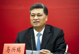 马兴瑞可能涉及的两大罪名