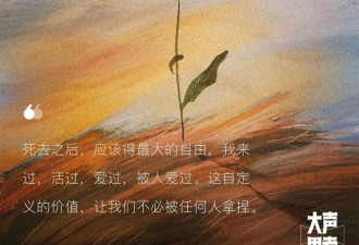 清明节我妈去上坟,我去陪陪那个"被踢出族谱"的女人