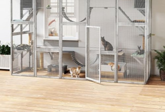 PawHut Catio 户外猫舍，118 英寸 L 大型木制户外猫屋，配有公寓