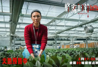 “三个影后都救不了这片的票房”，顶配阵容却踩中2026年所有雷点