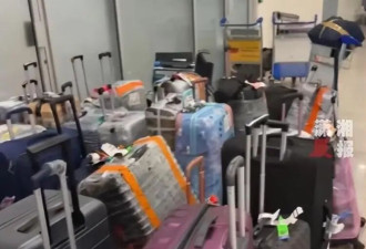埃及一航班行李全部丢失?中国乘客发声：损失十万