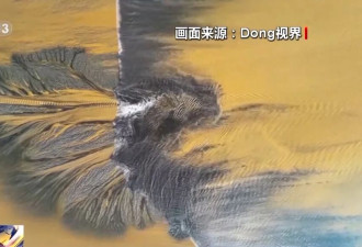 钱塘江大潮雕出奇幻“潮汐树” 网上刷屏