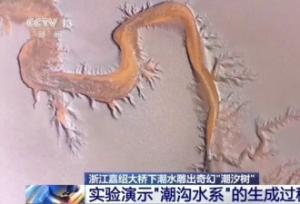 钱塘江大潮雕出奇幻“潮汐树” 网上刷屏