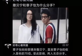 章子怡撒贝宁分手原因爆上热搜，章家嫌弃小撒工资低