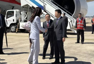郑丽文抵上海开始访问 宋涛接机 周五见习近平…