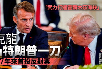 法国背刺美国 37年来首次投下反对票