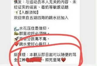全红婵遭282人微信群网暴 疑涉陈芋汐等名将