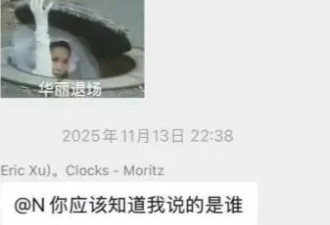 全红婵长期遭"国家级"霸凌？涉队友记者 官方急删文…