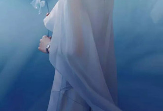 刘诗诗穿着浅蓝色薄纱礼裙惊艳亮相！肤如凝脂