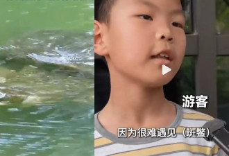 世界上最孤独的动物 中国唯一百岁动物现身 游客：看到有好运